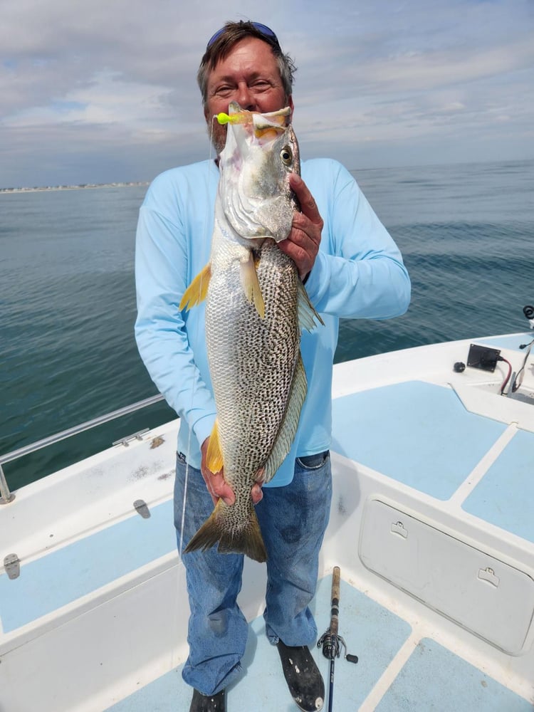 Wilmington Inshore Fishing Special In Wilmington