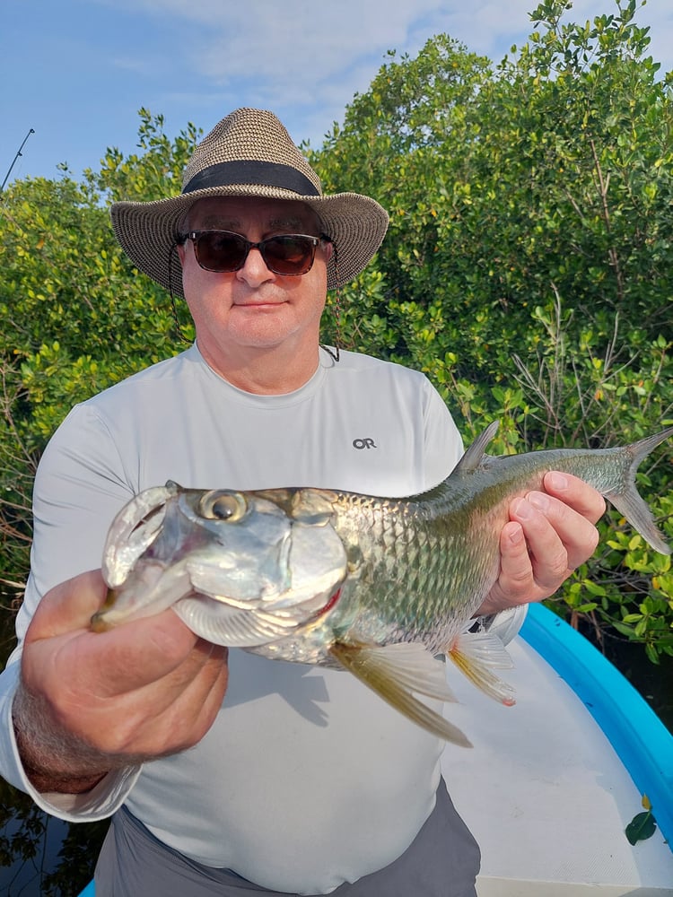 Fly Fishing Cancun In Cancún