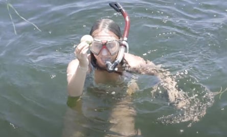 Scalloping Trip In Homosassa