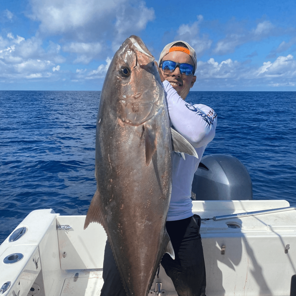 Tampa Bay Nearshore Run In St. Petersburg