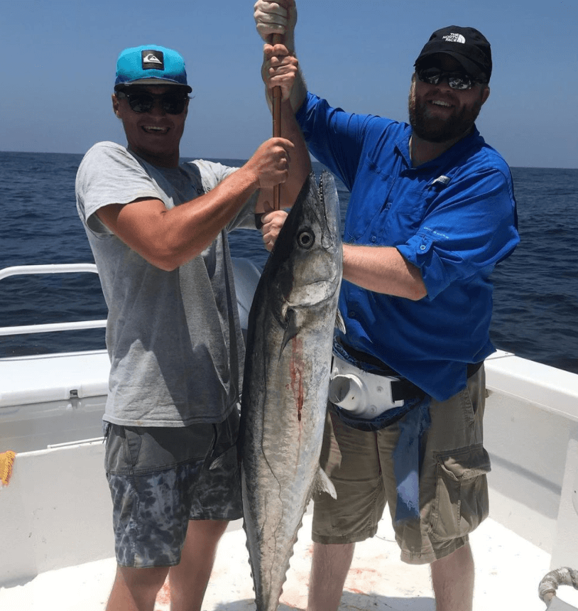 Port A Offshore - 31' Bertram In Port Aransas