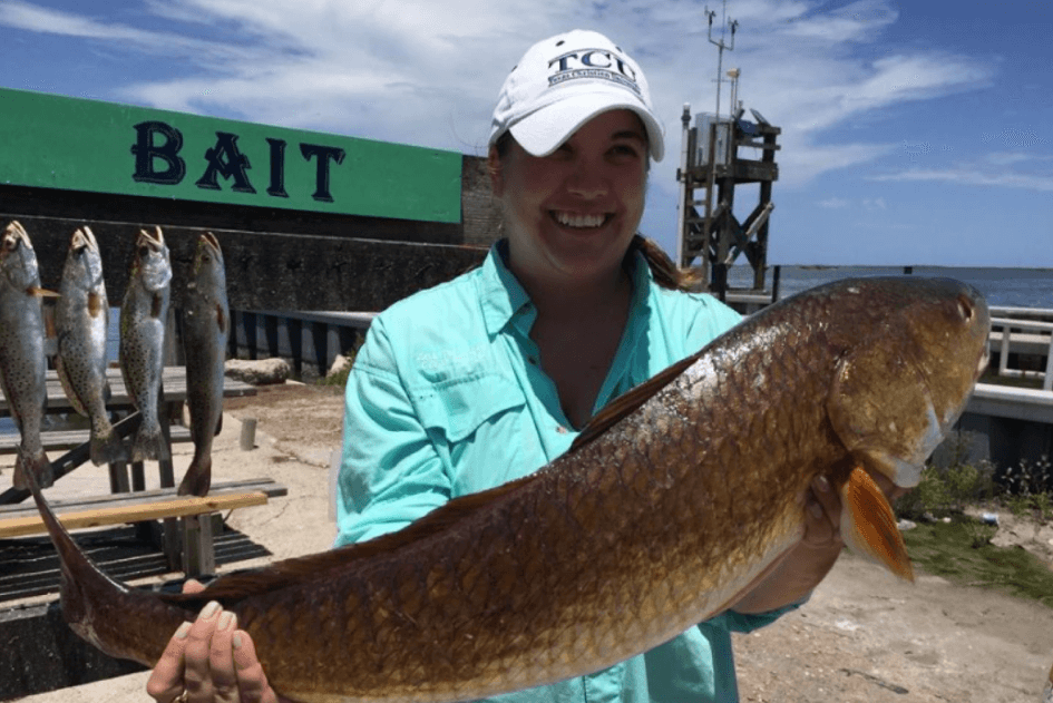 Back Bays And Beyond! In Port Aransas