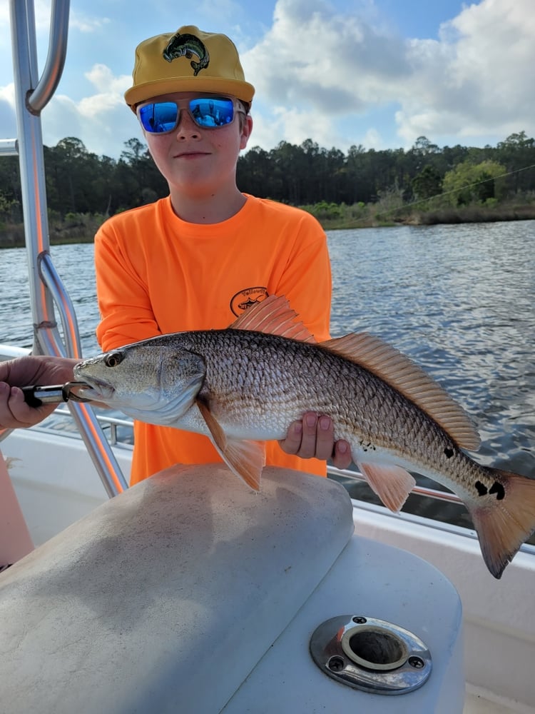 30A Kids Trip In Santa Rosa Beach