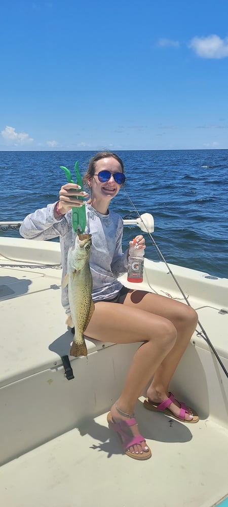 Big Ole Reds, Snook, & Trout In Crystal River