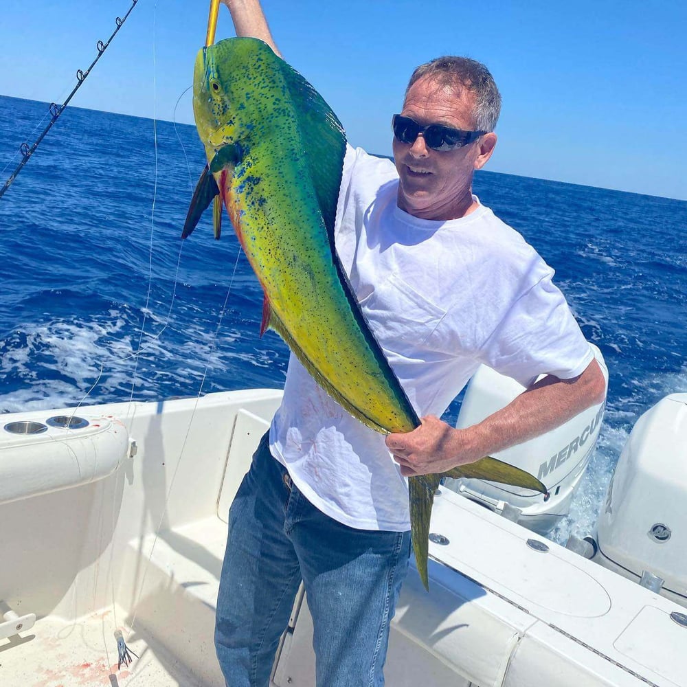 Trolling For Toads - 35’ Everglades In Mount Pleasant