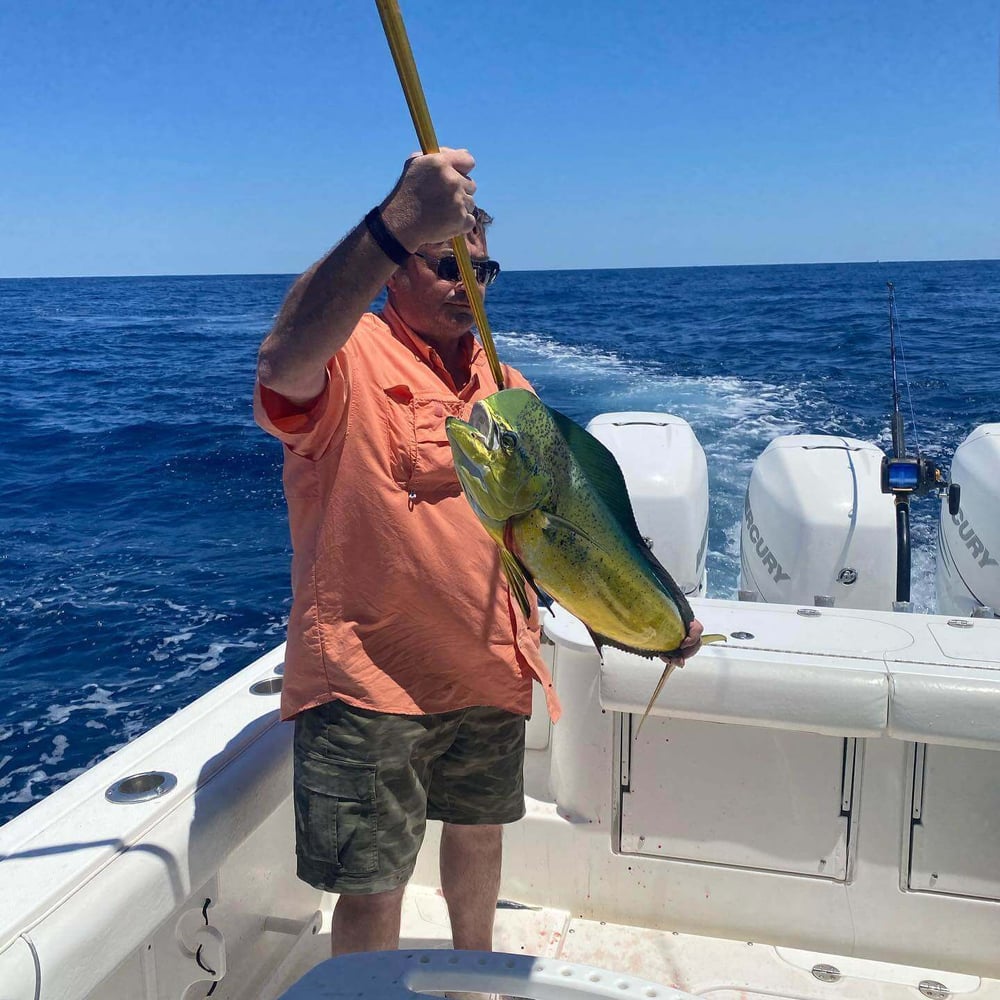 Trolling For Toads - 35’ Everglades In Mount Pleasant