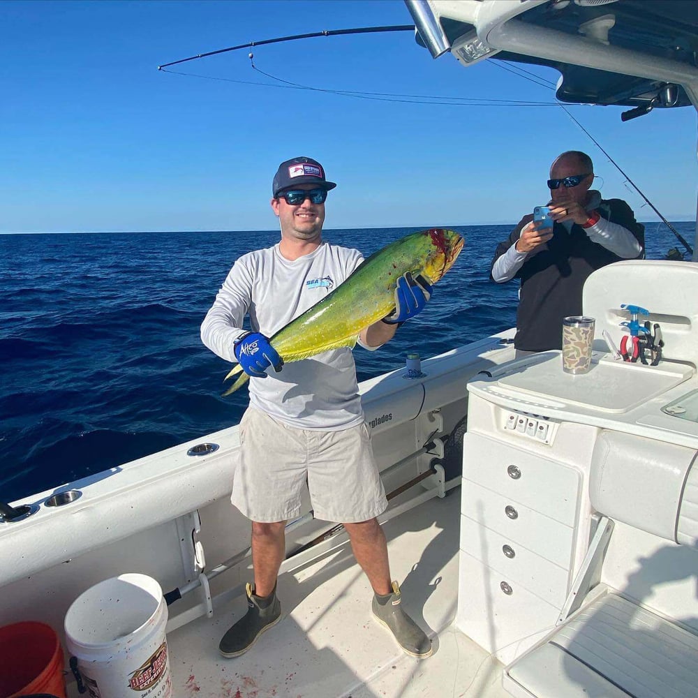 Trolling For Toads - 35’ Everglades In Mount Pleasant