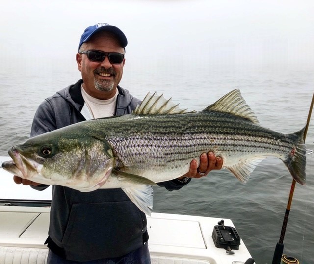 Early Season Striper - 26’ In Chatham