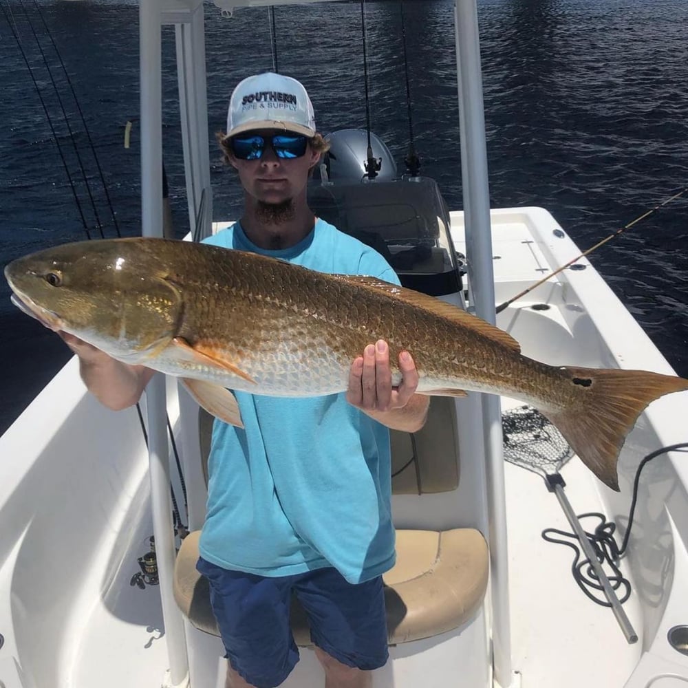 Inshore PCB Trip - 23' Sportsman In Panama City