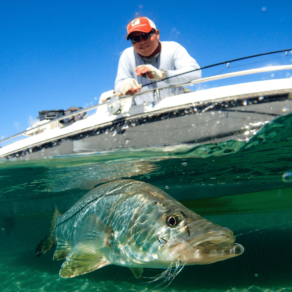 Inshore Saltwater Trip In Jupiter