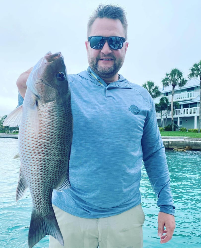 Fishing Fun In The Florida Sun In Sarasota