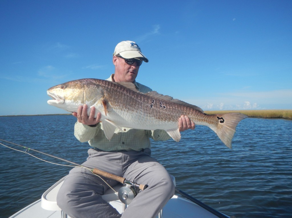 Hopedale Redfish On The Fly In Hopedale