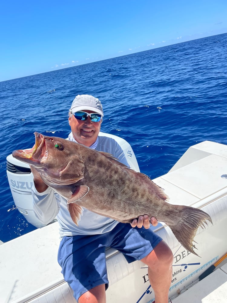 Extended Day Lunker Chase In Sarasota