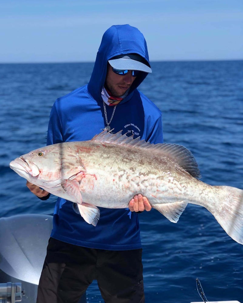 Extended Day Lunker Chase In Sarasota