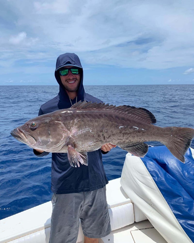 Extended Day Lunker Chase In Sarasota