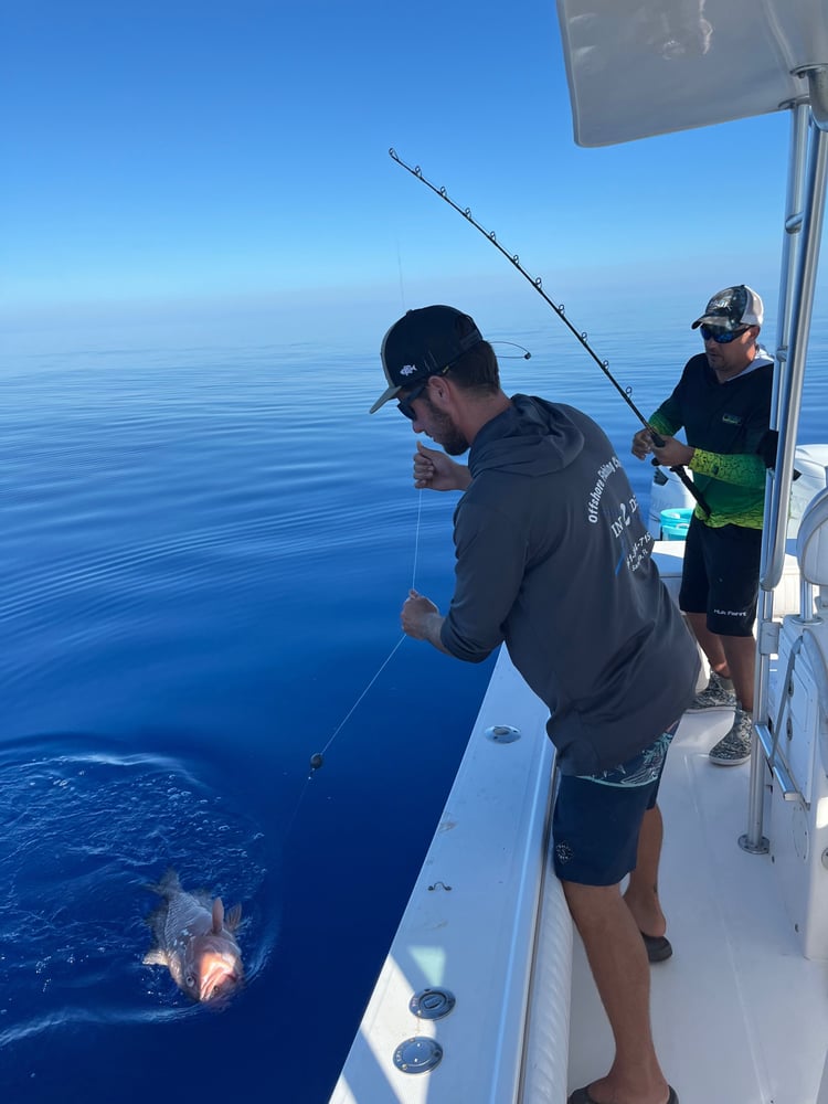 Sarasota Offshore Grocery Run In Sarasota