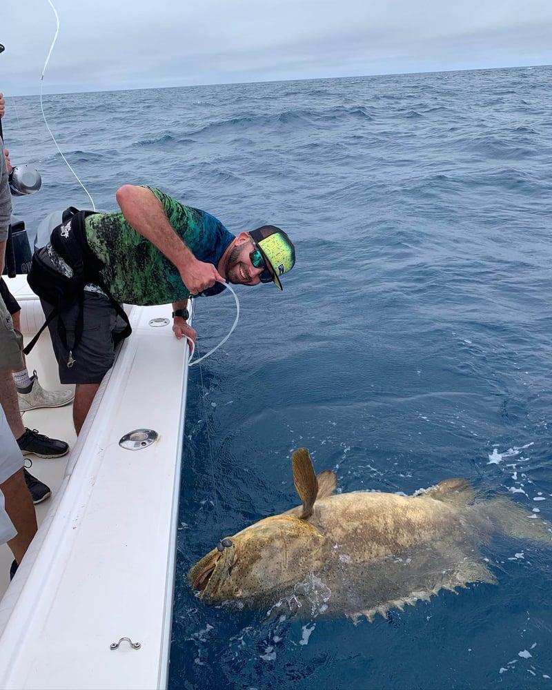 Extended Day Lunker Chase In Sarasota