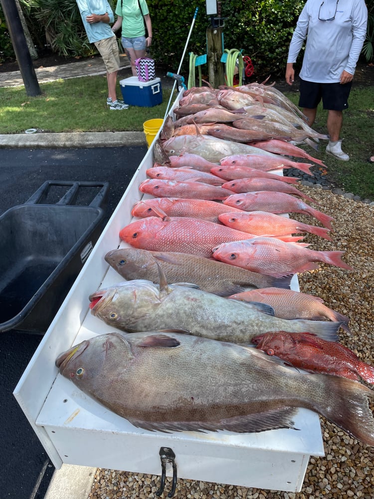 Extended Day Lunker Chase In Sarasota