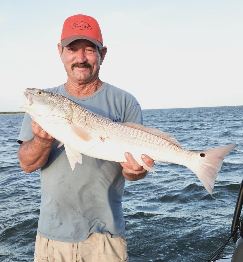 SPI Bay Fishing Adventure In South Padre Island