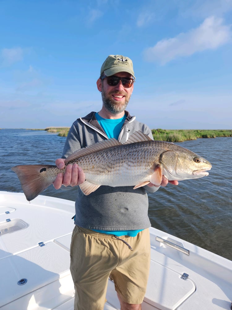 Louisiana Classic Inshore Trip In Yscloskey