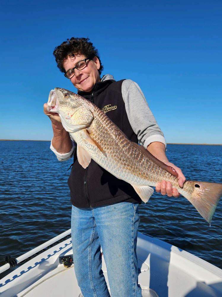 Louisiana Classic Inshore Trip In Yscloskey