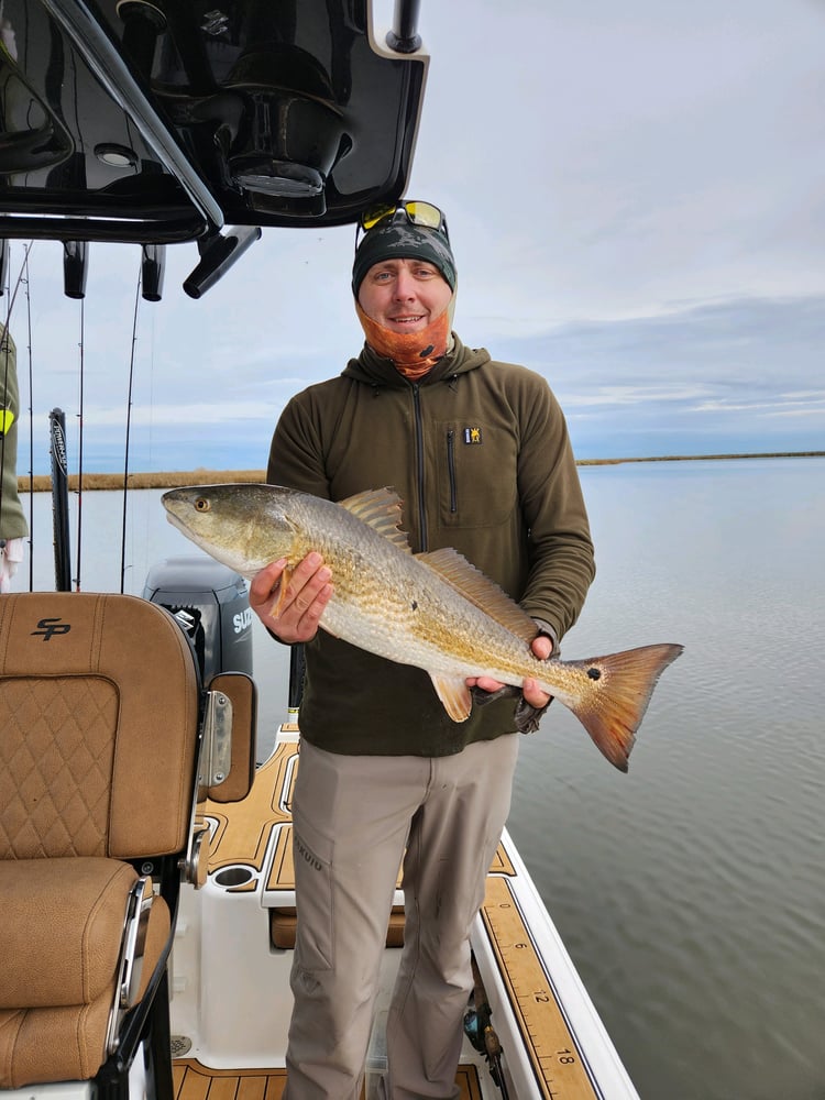 Louisiana Classic Inshore Trip In Yscloskey