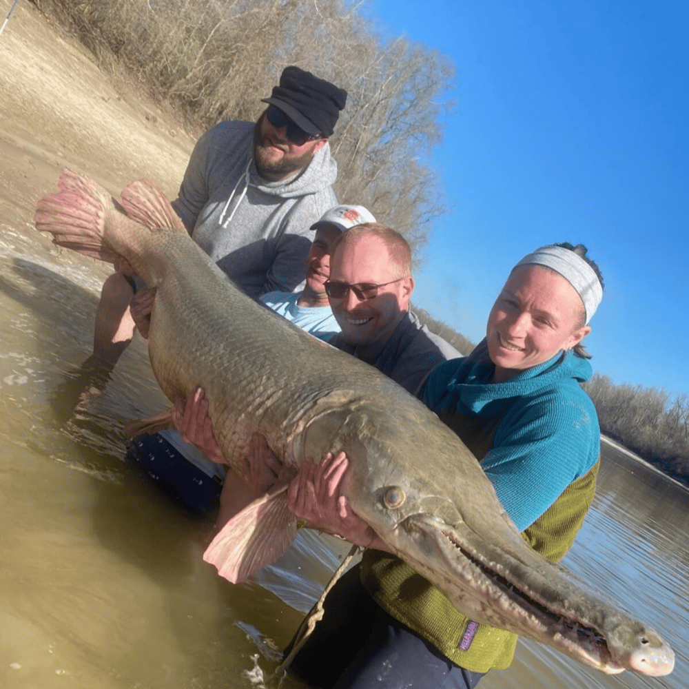 Monster Gar On Rod And Reel In Houston