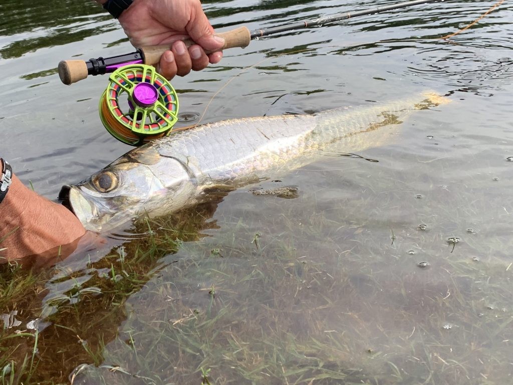 Tactical Inshore Assault In Jupiter