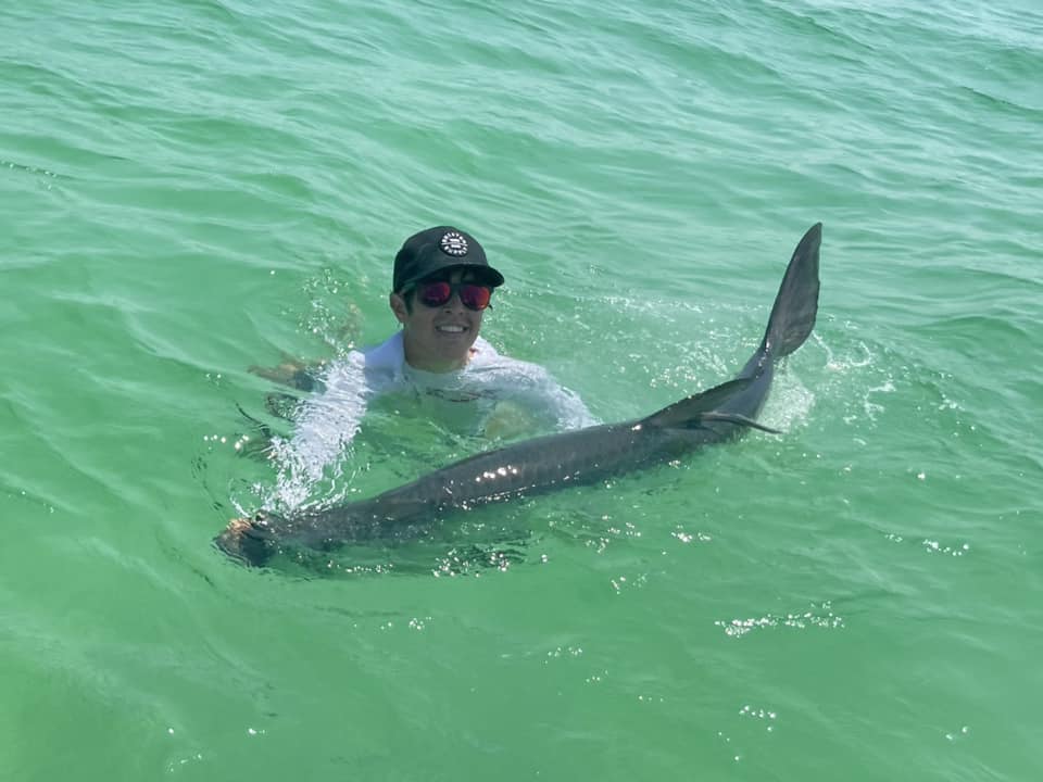 Santa Rosa Beach Silver Kings In Santa Rosa Beach