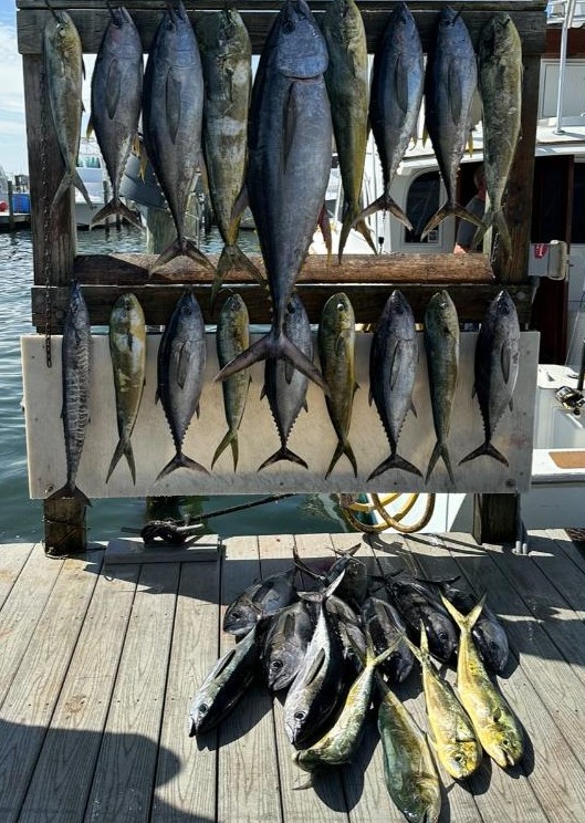 Destin Fishing Fun In Destin