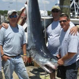 Montauk Shark Special In Montauk