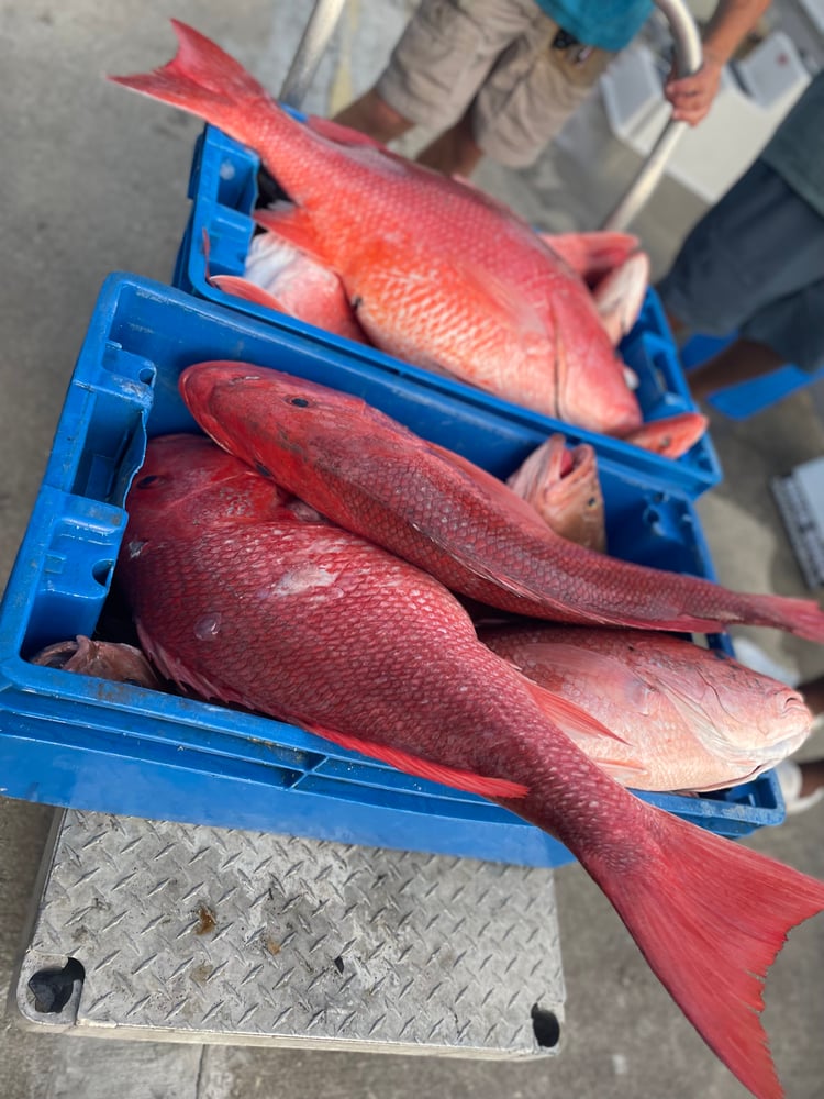 Summertime Bottom Fishing In Panama City Beach