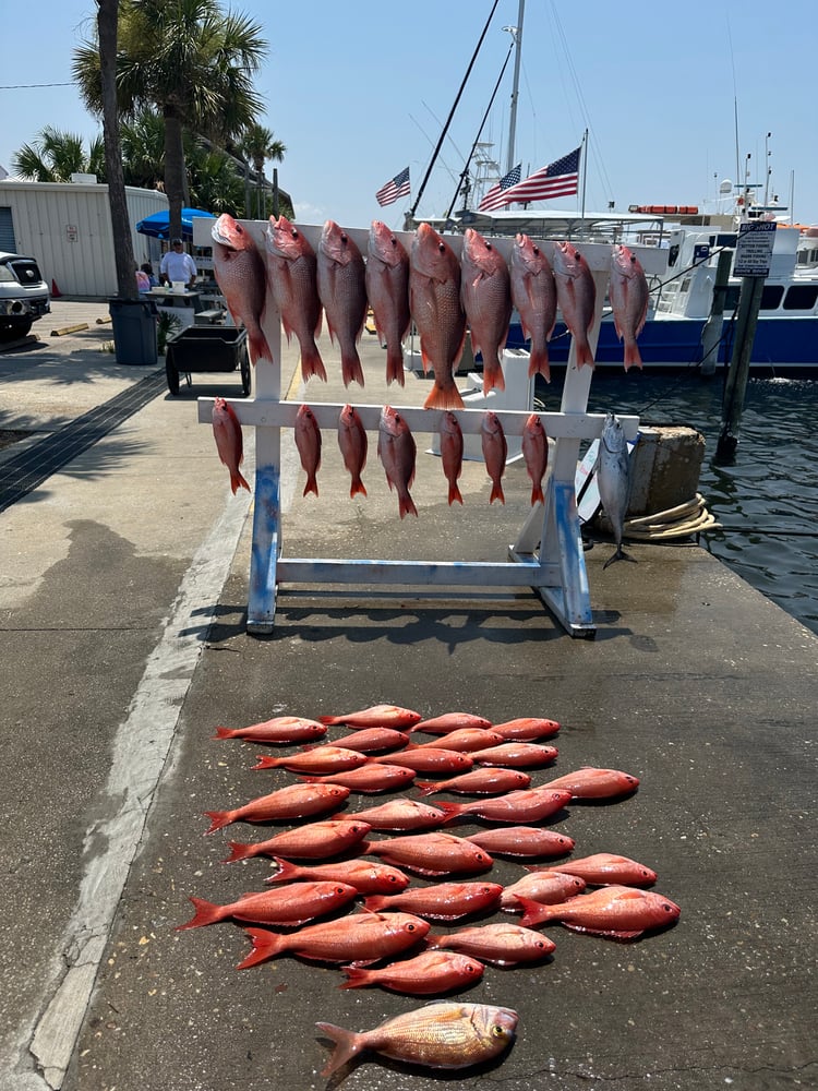 Summertime Bottom Fishing In Panama City Beach