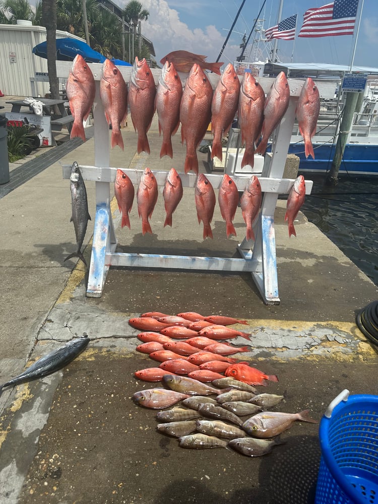 Summertime Bottom Fishing In Panama City Beach