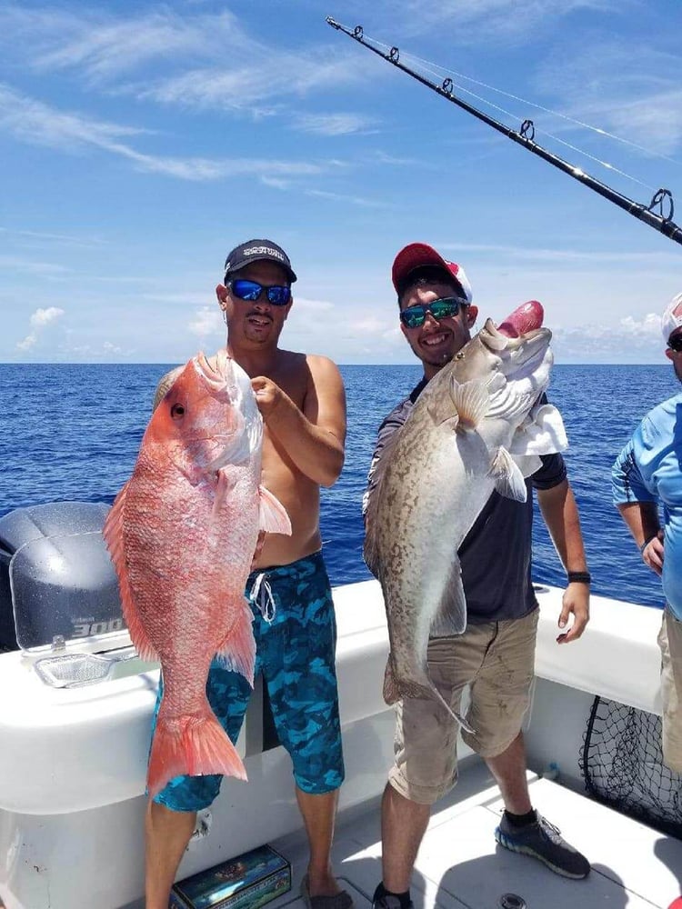 Offshore Max-Out Seasonal Species In St. Petersburg