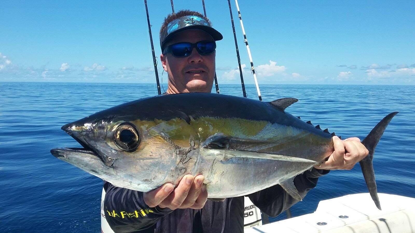 Epic Snapper And Grouper - 28’ In Tierra Verde