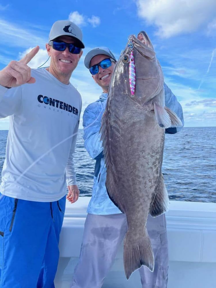 Offshore Max-Out Seasonal Species In St. Petersburg