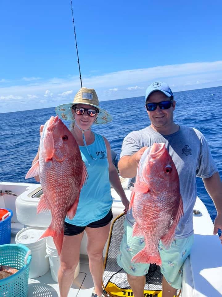 Epic Snapper And Grouper - 28’ In Tierra Verde