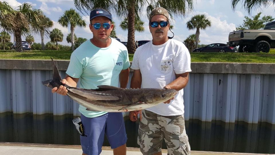 Epic Snapper And Grouper - 28’ In Tierra Verde