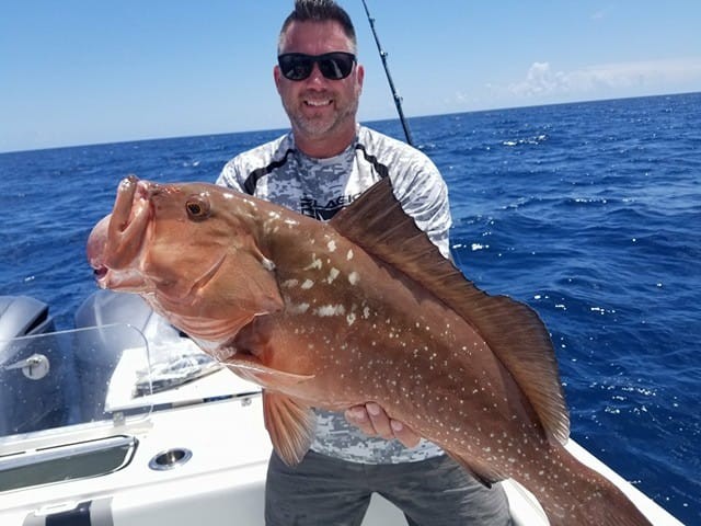 Fed Permitted American Red Snapper In St. Petersburg