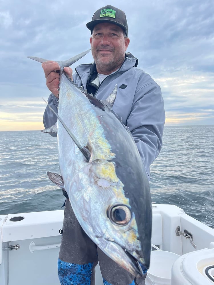 Epic Snapper And Grouper - 28’ In Tierra Verde