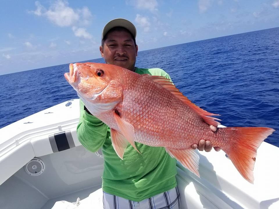 Seriously Epic Snapper & Grouper In Tierra Verde