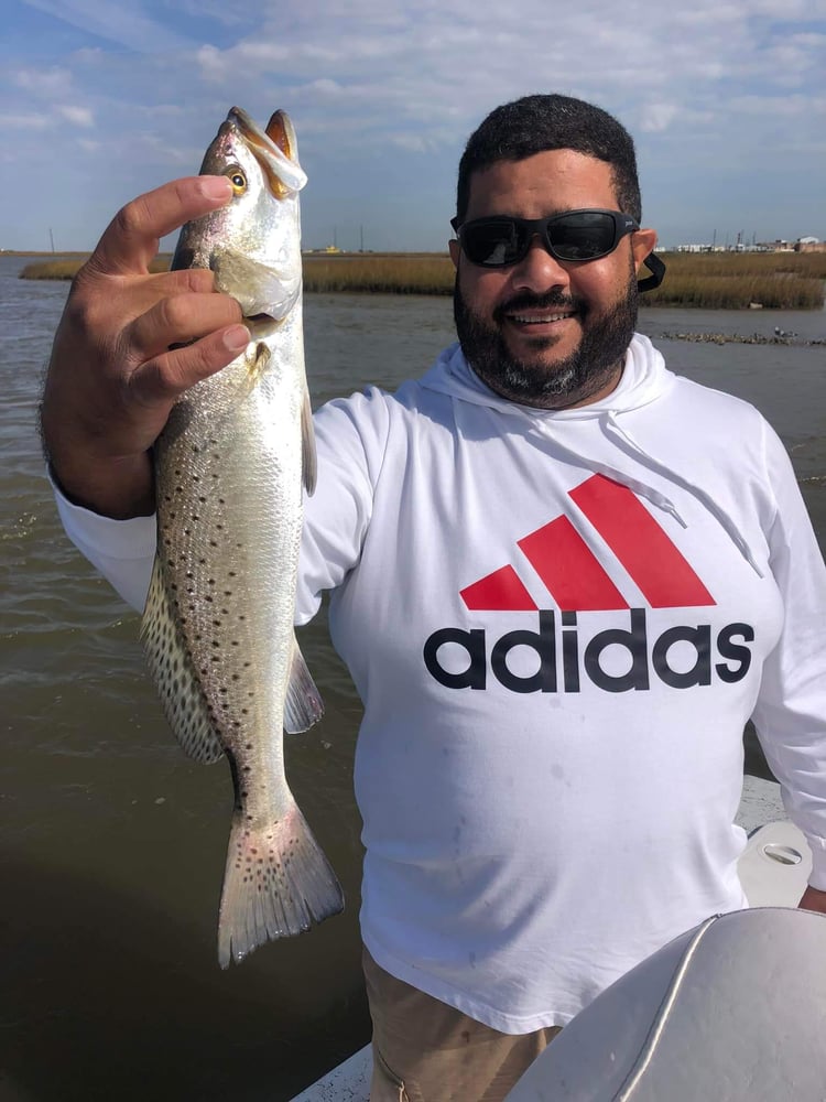 Bay/Inshore Trip - 23' Haynie In Galveston