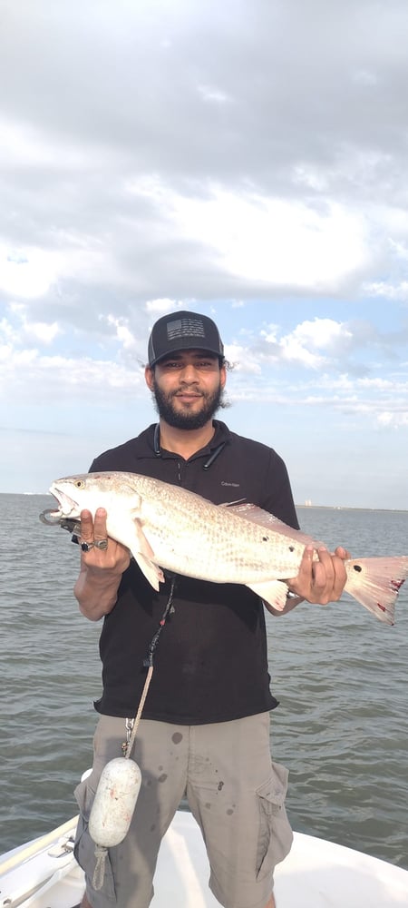 3/4 Day Bay + Jetty Adventure In Galveston