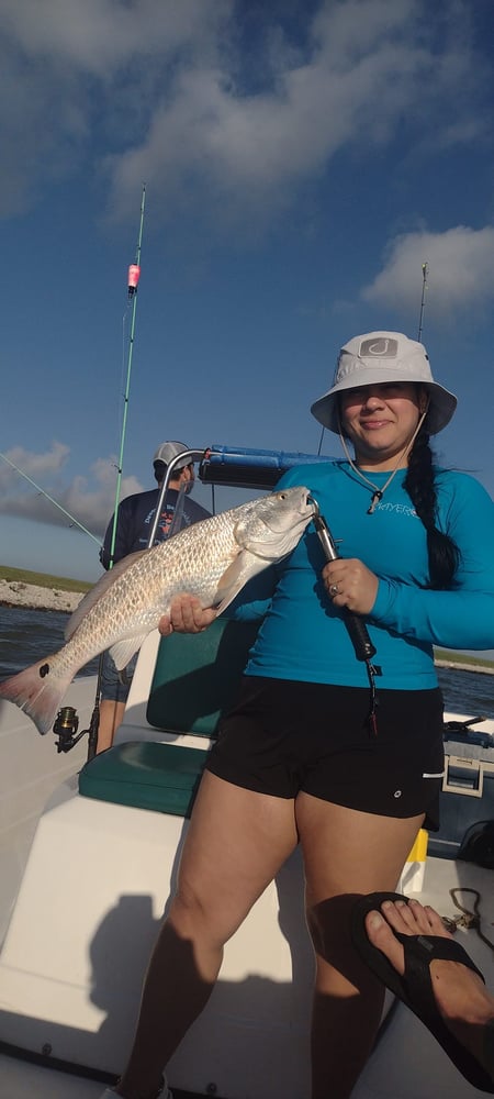 3/4 Day Bay + Jetty Adventure In Galveston