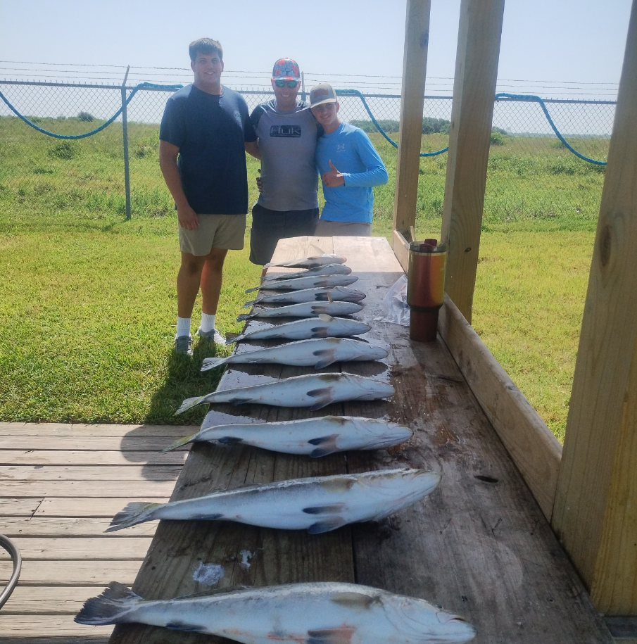 3/4 Day Bay + Jetty Adventure In Galveston