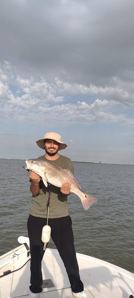 3/4 Day Bay + Jetty Adventure In Galveston