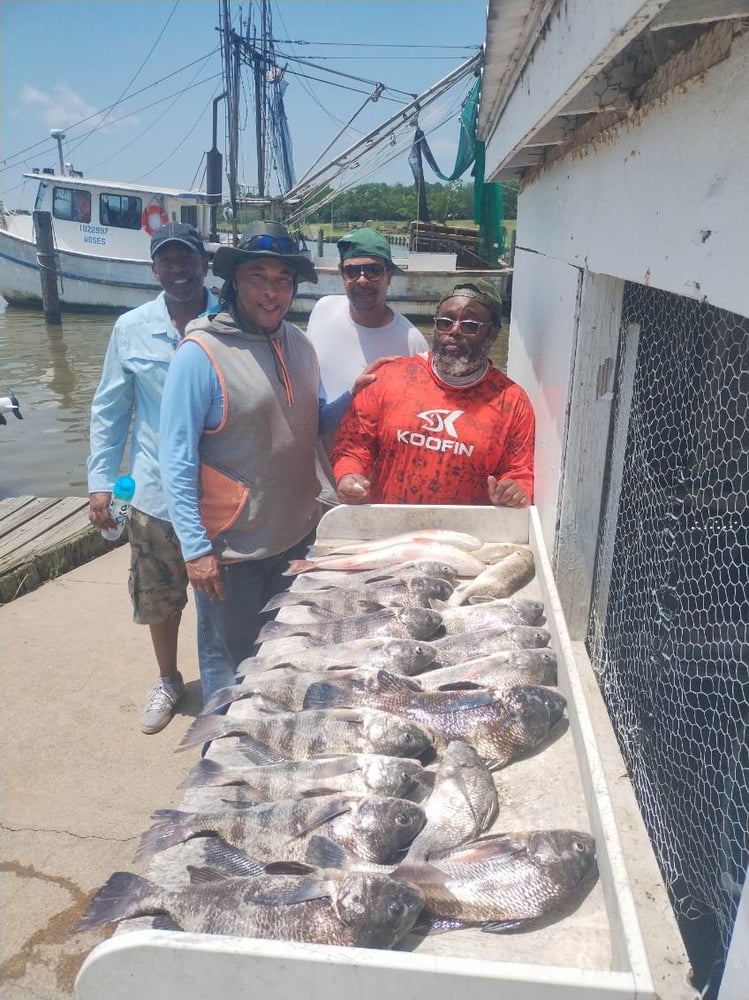 3/4 Day Bay + Jetty Adventure In Galveston