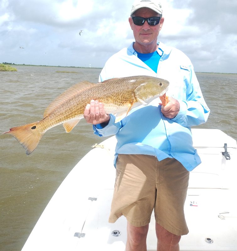 3/4 Day Bay + Jetty Adventure In Galveston