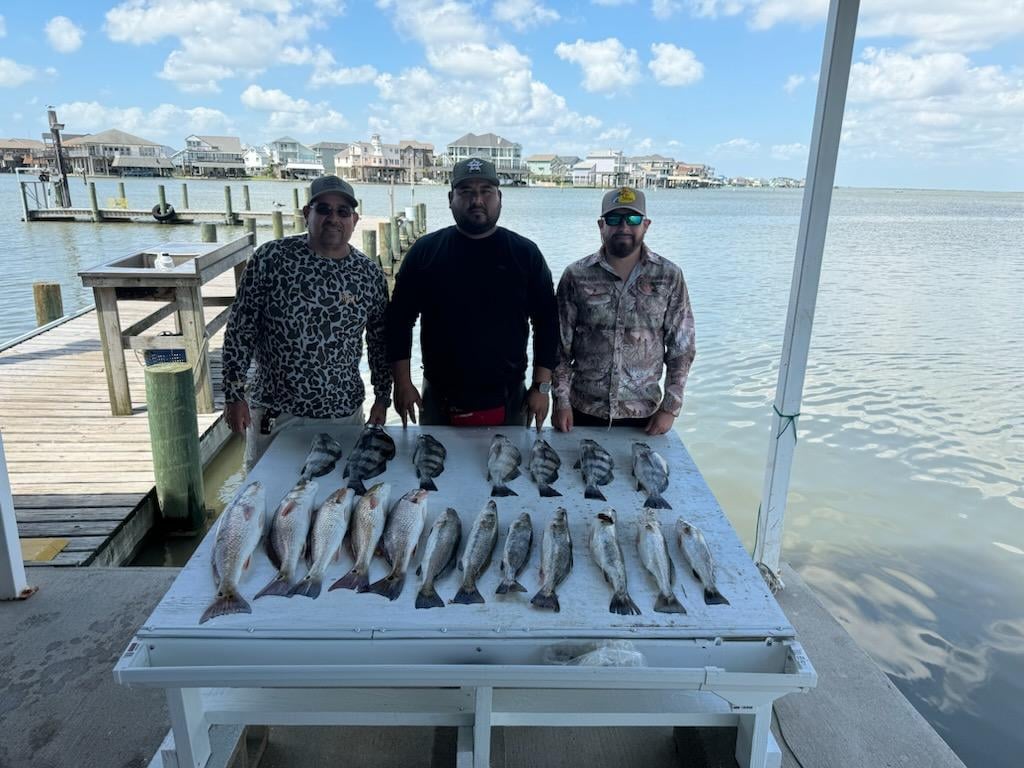 3/4 Day Bay + Jetty Adventure In Galveston